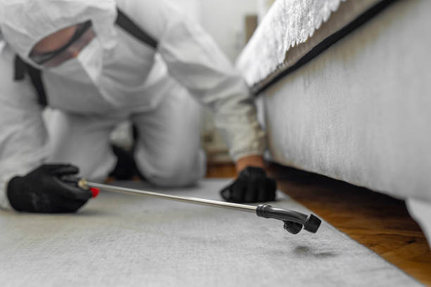 Professional Bed Bug Control technician working in Rocky Point, NC
