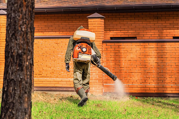 Trusted Cockroach Control service in Rocky Point, NC - Nex Pest Control